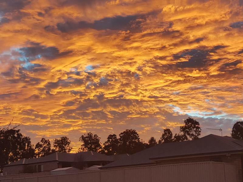 Bed and Breakfast Grovely House Stanthorpe Esterno foto