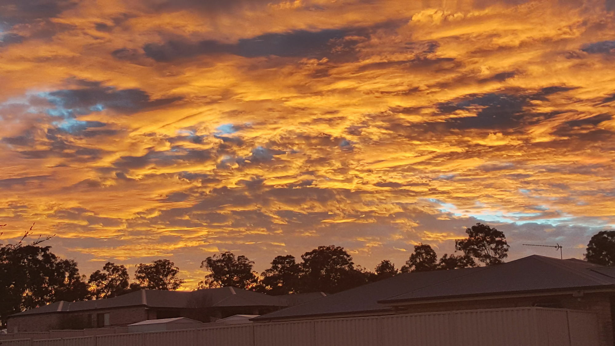 Bed and Breakfast Grovely House Stanthorpe Esterno foto